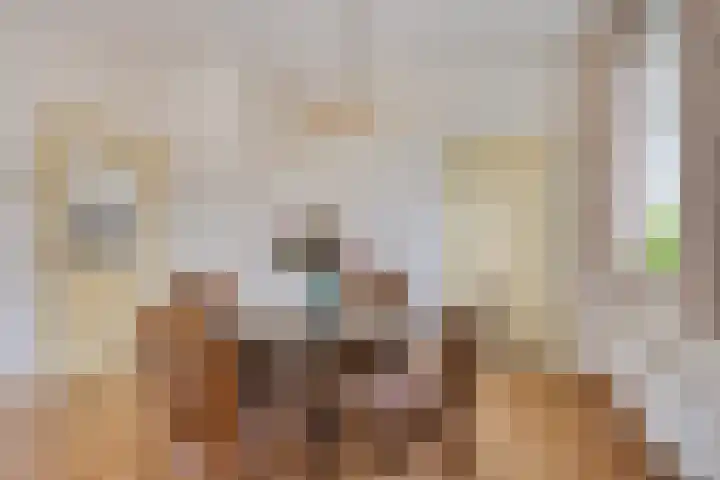 Lycklamaweg 160 Wolvega thumbnail 5
