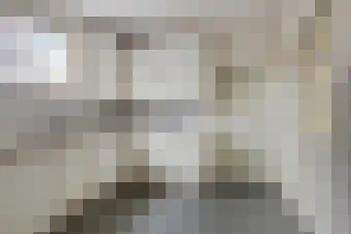 Lycklamaweg 160 Wolvega thumbnail 6
