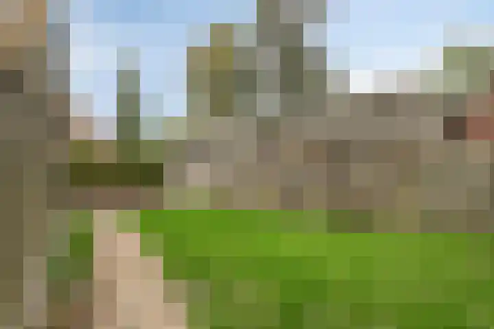 Lycklamaweg 29 Wolvega thumbnail 21