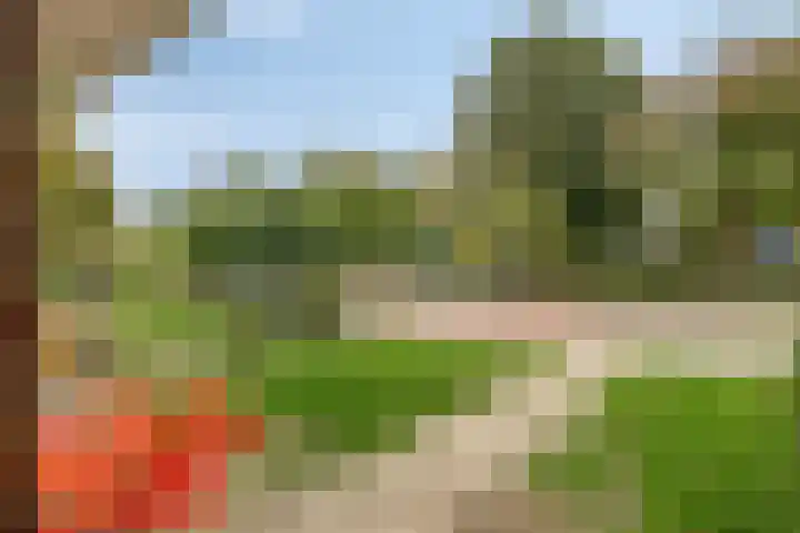 Lycklamaweg 29 Wolvega thumbnail 4
