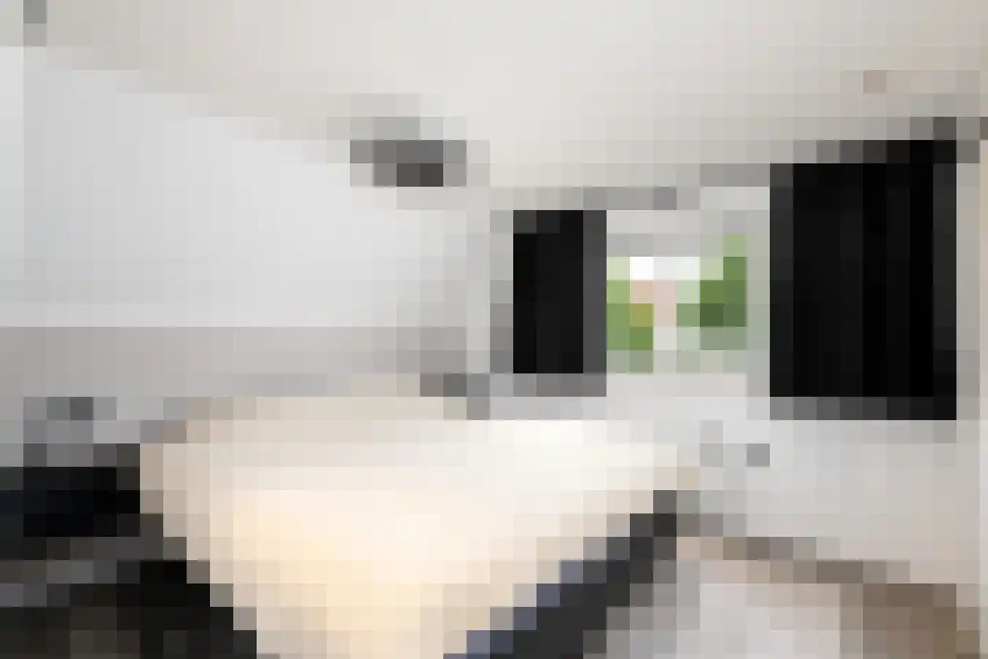 Lycklamaweg 64 Wolvega thumbnail 19