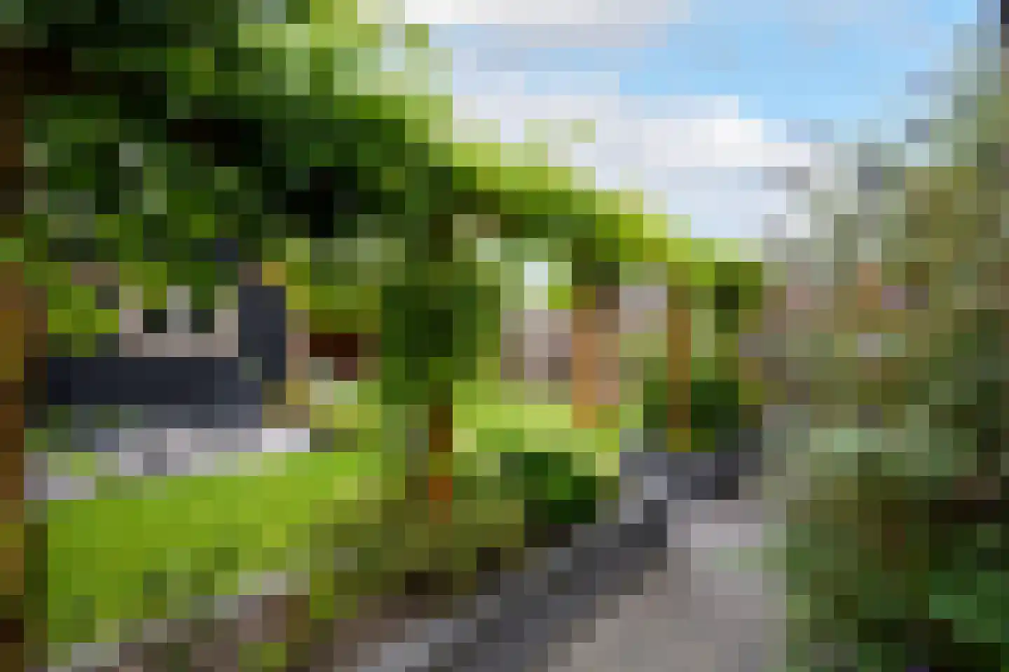 Lycklamaweg 64 Wolvega thumbnail 34