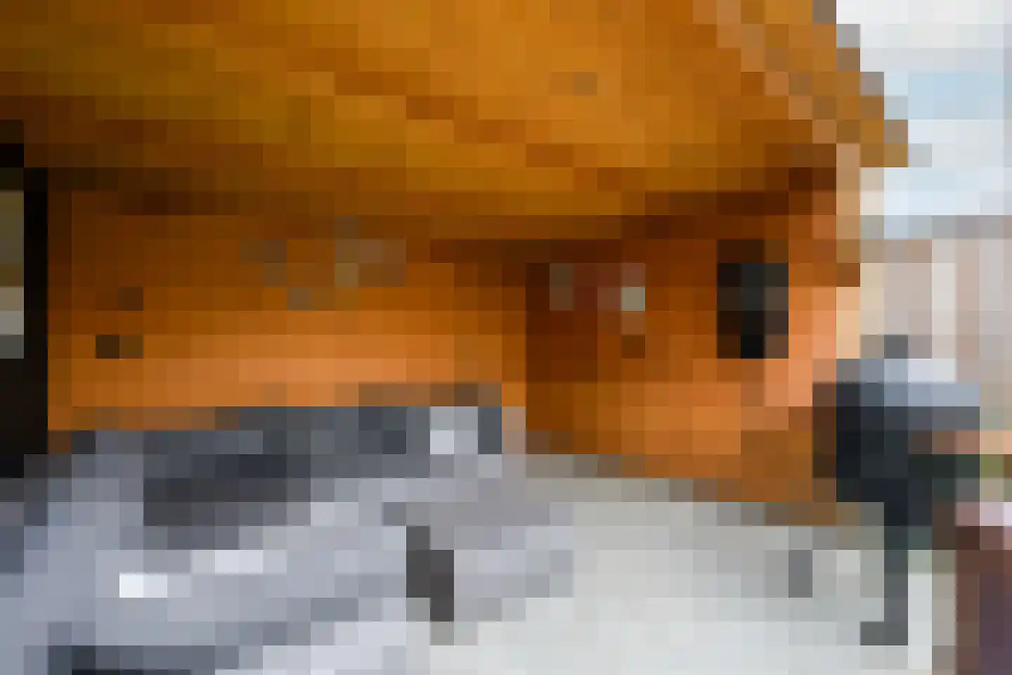 Lycklamaweg 64 Wolvega thumbnail 35