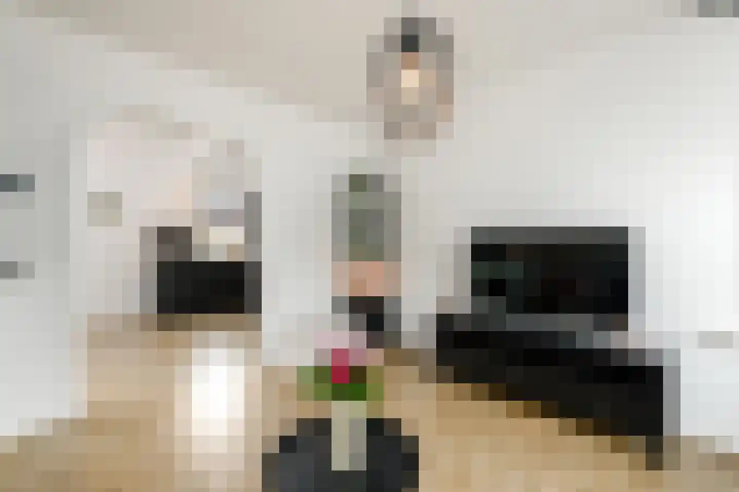 Lycklamaweg 64 Wolvega thumbnail 8