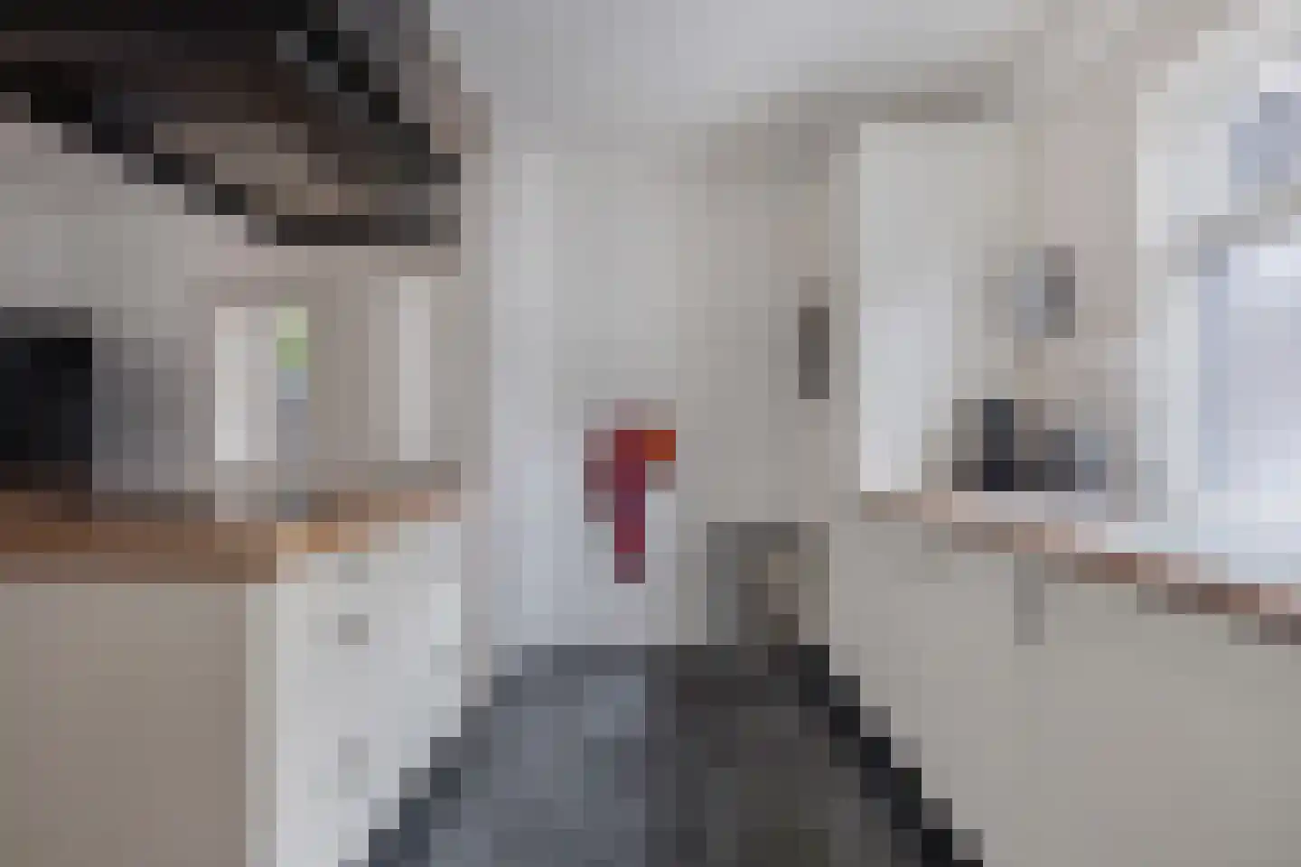 Lycklamaweg 72 Wolvega thumbnail 13