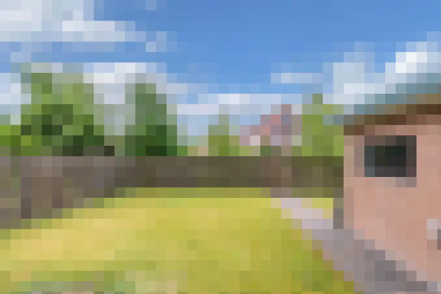 Lycklamaweg 72 Wolvega thumbnail 30