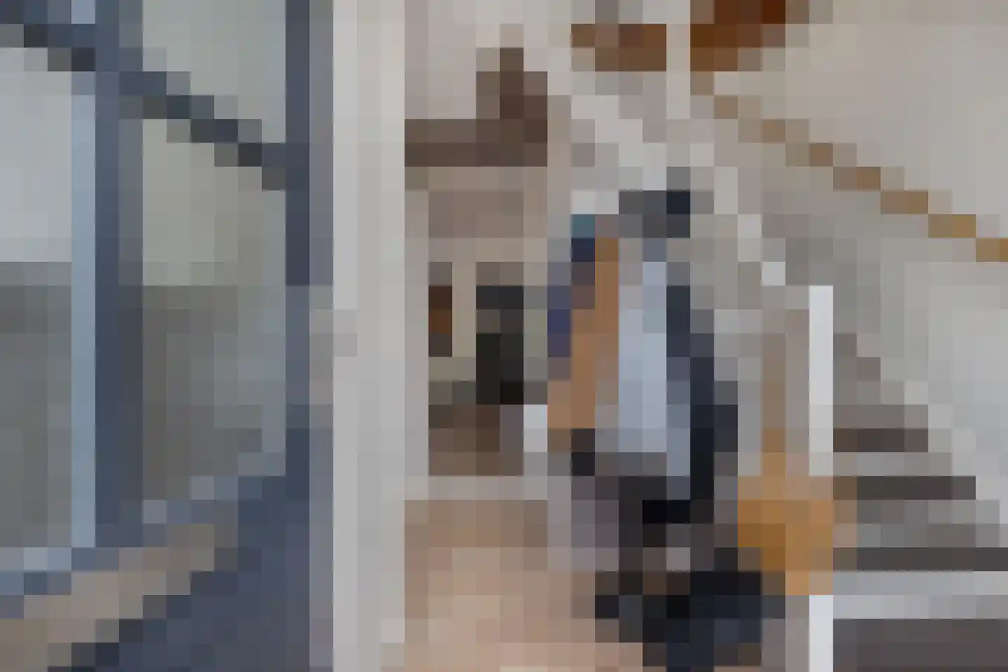 Lycklamaweg 72 Wolvega thumbnail 4