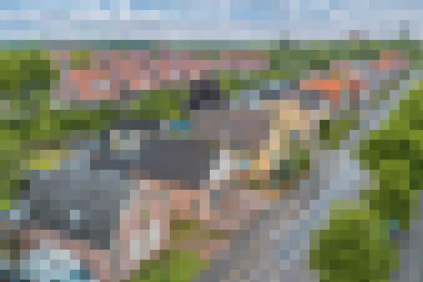 Lycklamaweg 72 Wolvega thumbnail 42