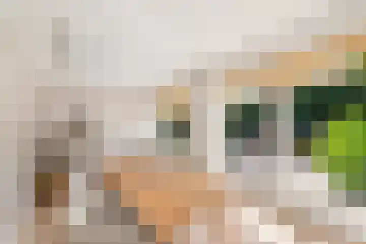 Lycklamaweg 76 Wolvega thumbnail 15