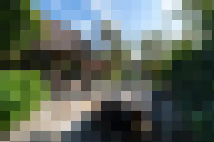 Lycklamaweg 76 Wolvega thumbnail 32
