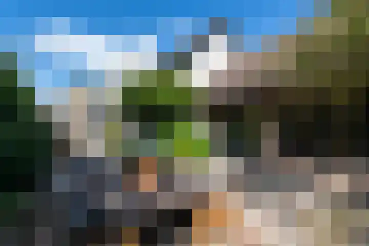 Lycklamaweg 76 Wolvega thumbnail 35