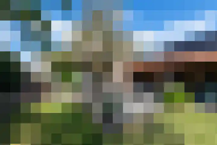 Lycklamaweg 76 Wolvega thumbnail 38