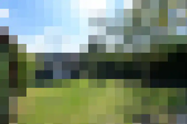 Lycklamaweg 76 Wolvega thumbnail 39