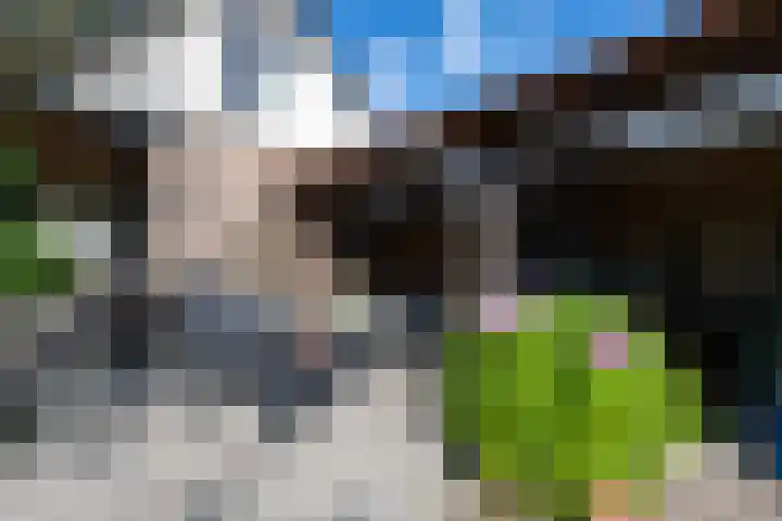 Lycklamaweg 76 Wolvega thumbnail 40