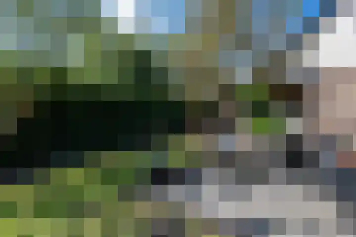 Lycklamaweg 76 Wolvega thumbnail 41