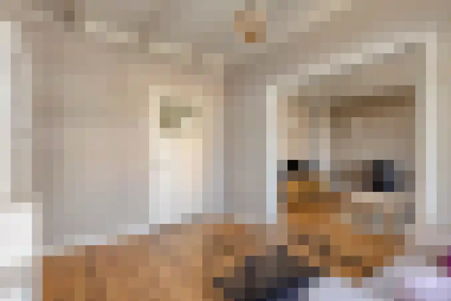 Lyclamaweg 20 Makkinga thumbnail 10