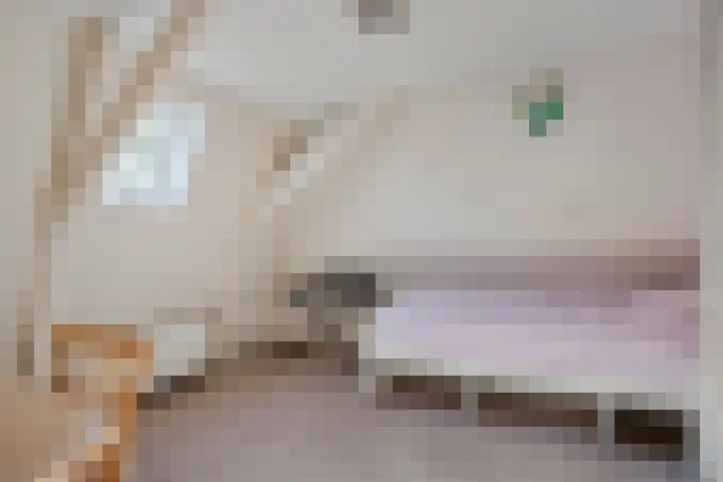 Lyclamaweg 20 Makkinga thumbnail 23