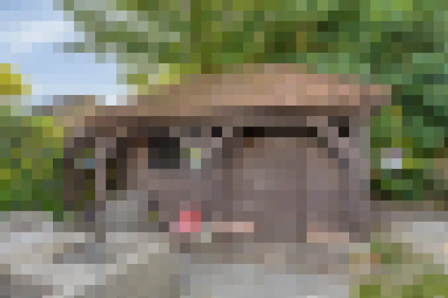 Lyclamaweg 20 Makkinga thumbnail 29