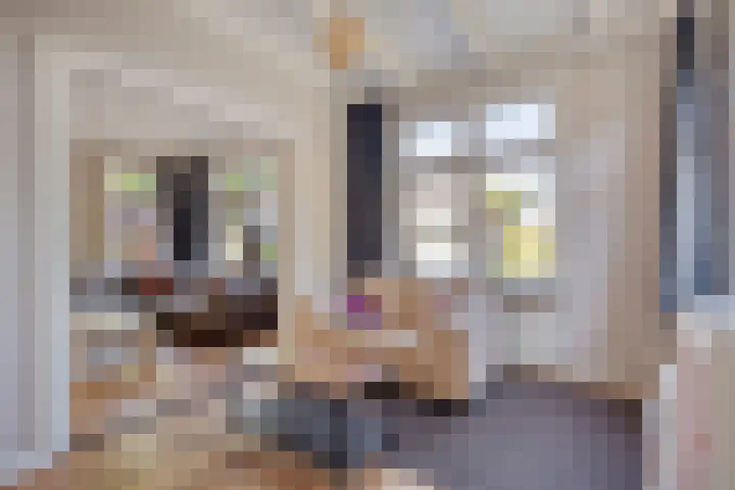 Lyclamaweg 20 Makkinga thumbnail 8