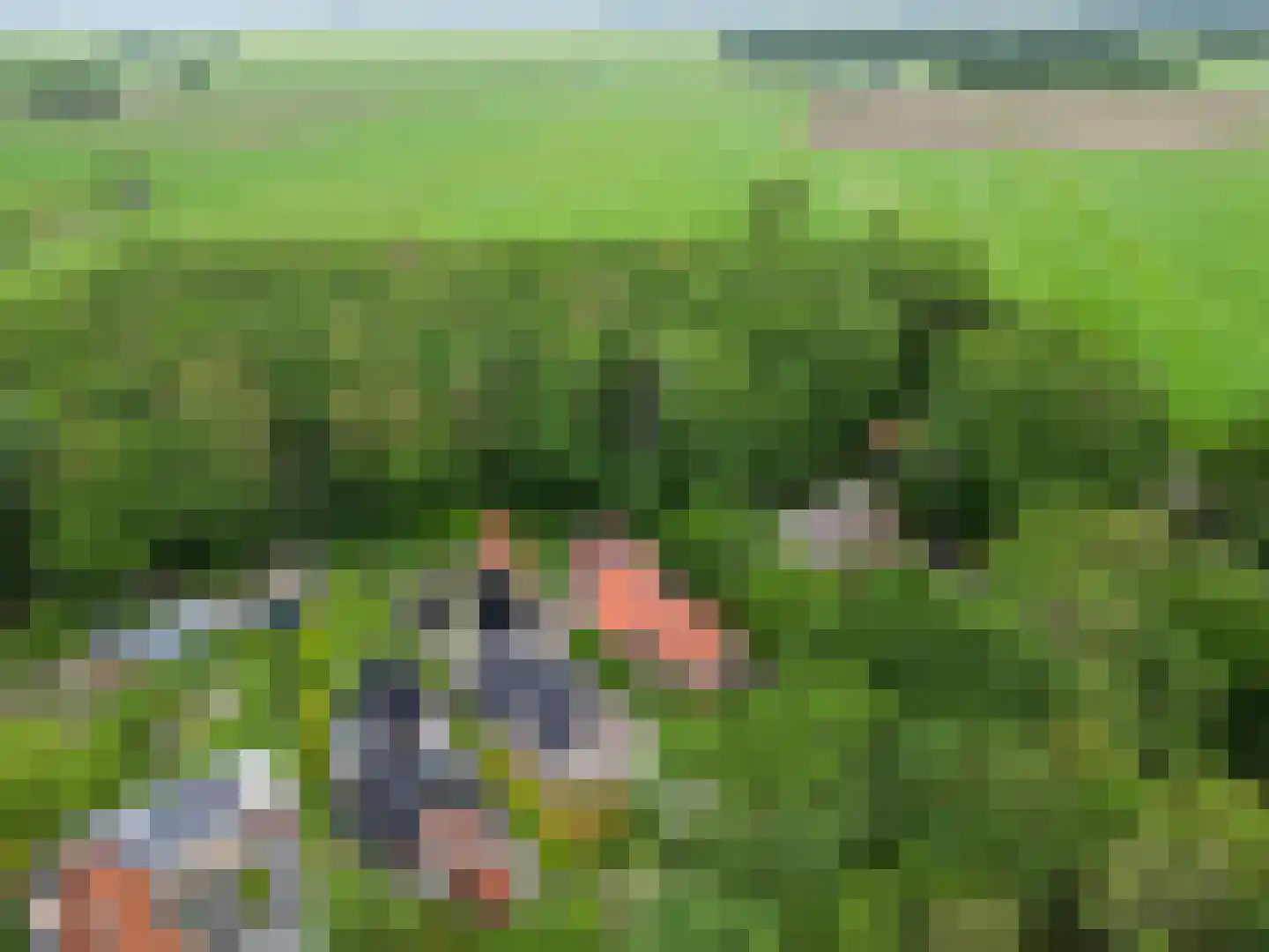 Lyclamaweg 33 Makkinga thumbnail 10