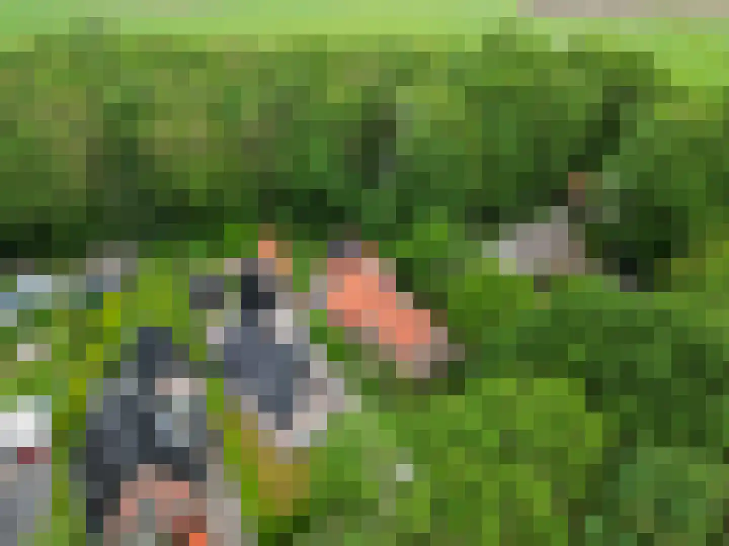 Lyclamaweg 33 Makkinga thumbnail 11