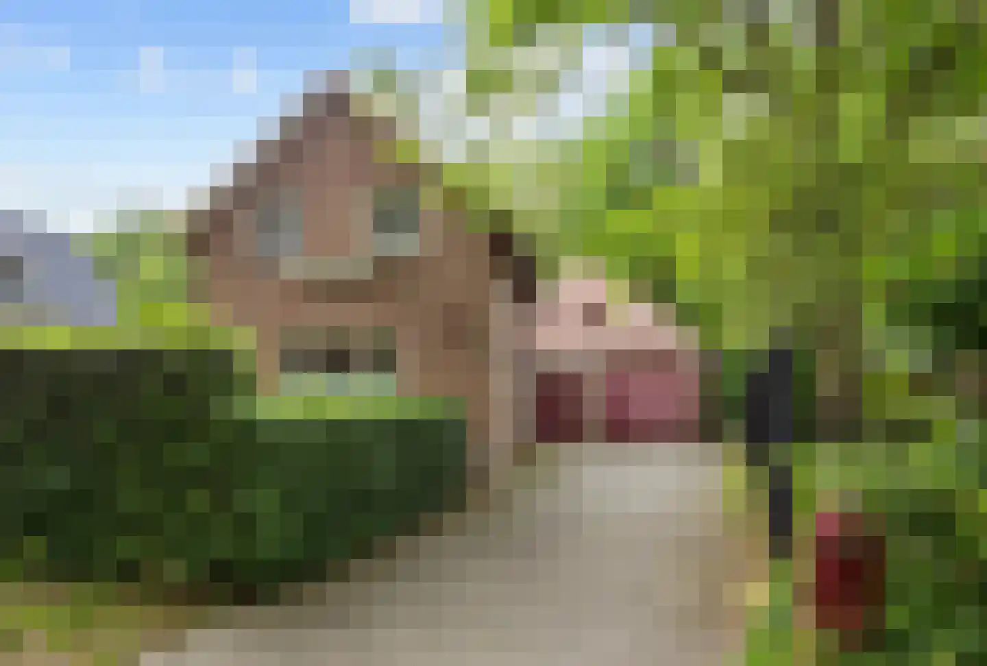 Lyclamaweg 33 Makkinga thumbnail 14
