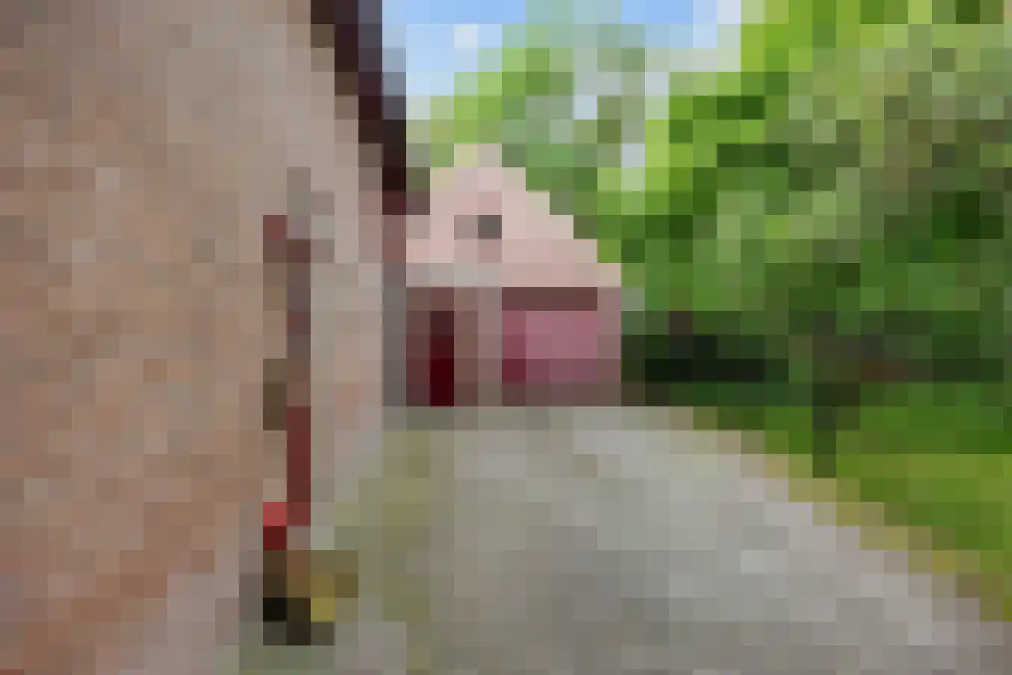 Lyclamaweg 33 Makkinga thumbnail 16
