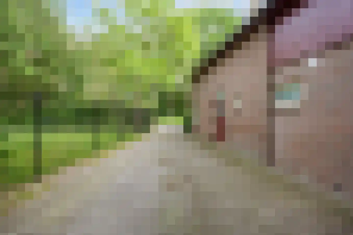 Lyclamaweg 33 Makkinga thumbnail 17