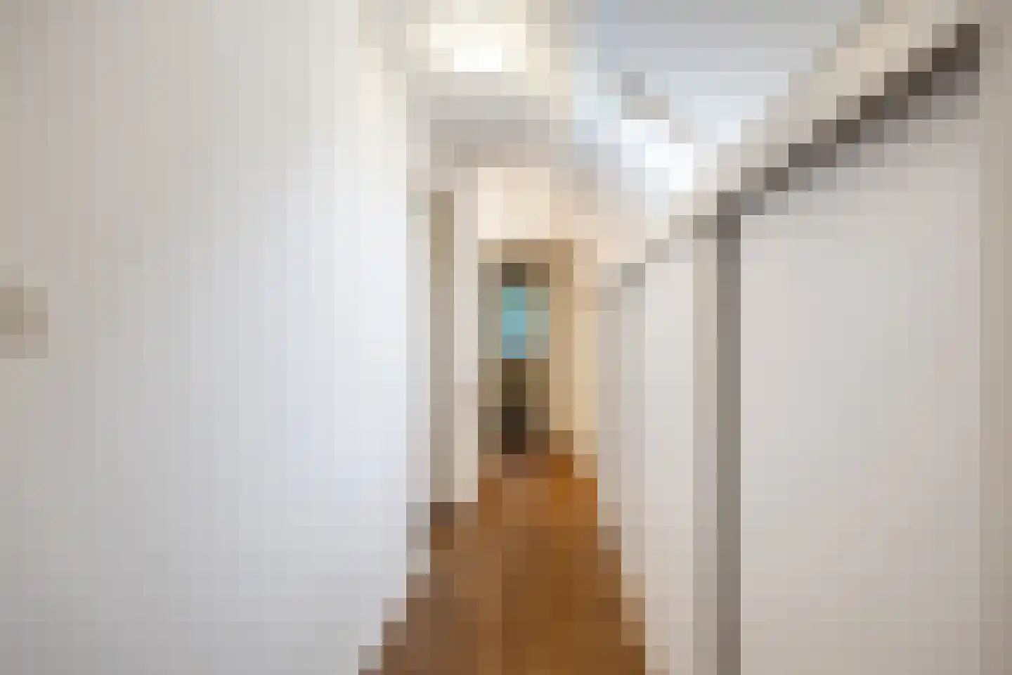 Lyclamaweg 33 Makkinga thumbnail 39