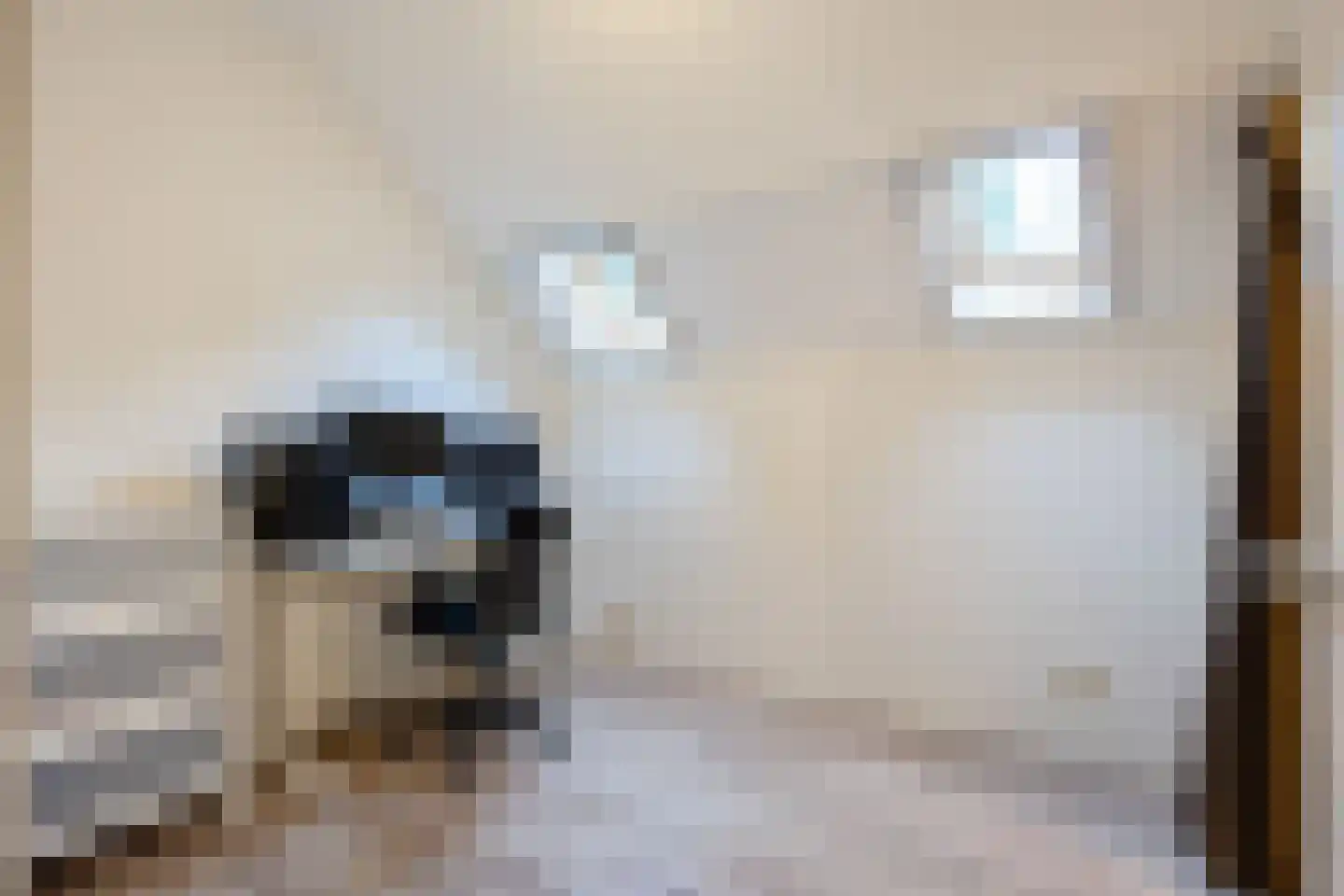 Lyclamaweg 33 Makkinga thumbnail 43