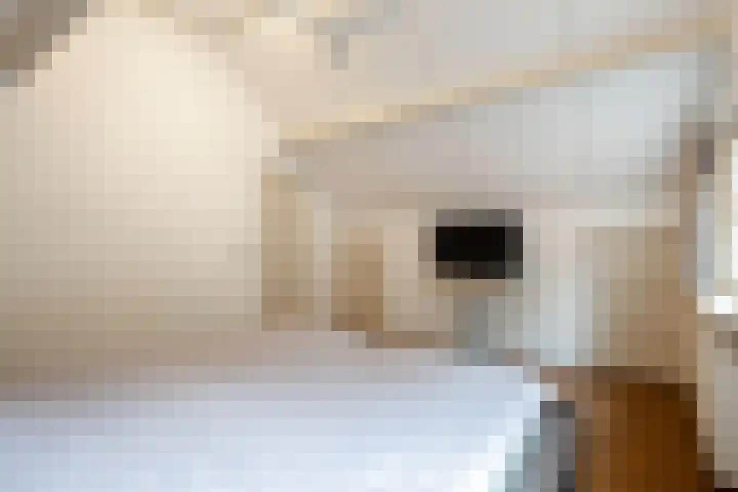 Lyclamaweg 33 Makkinga thumbnail 48