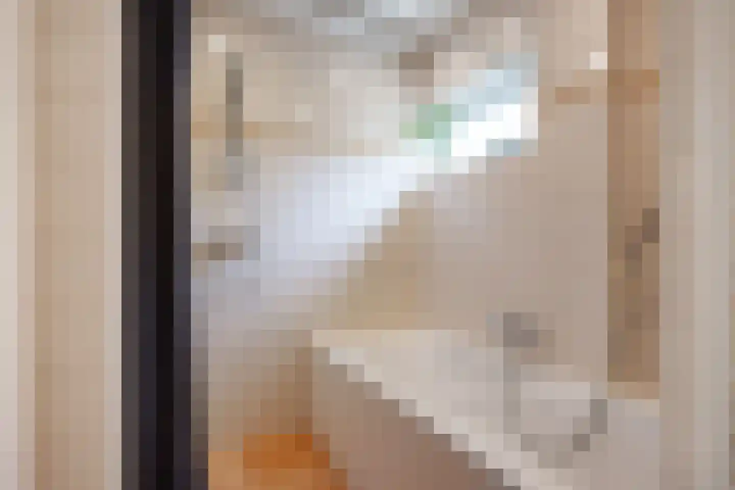 Lyclamaweg 33 Makkinga thumbnail 5