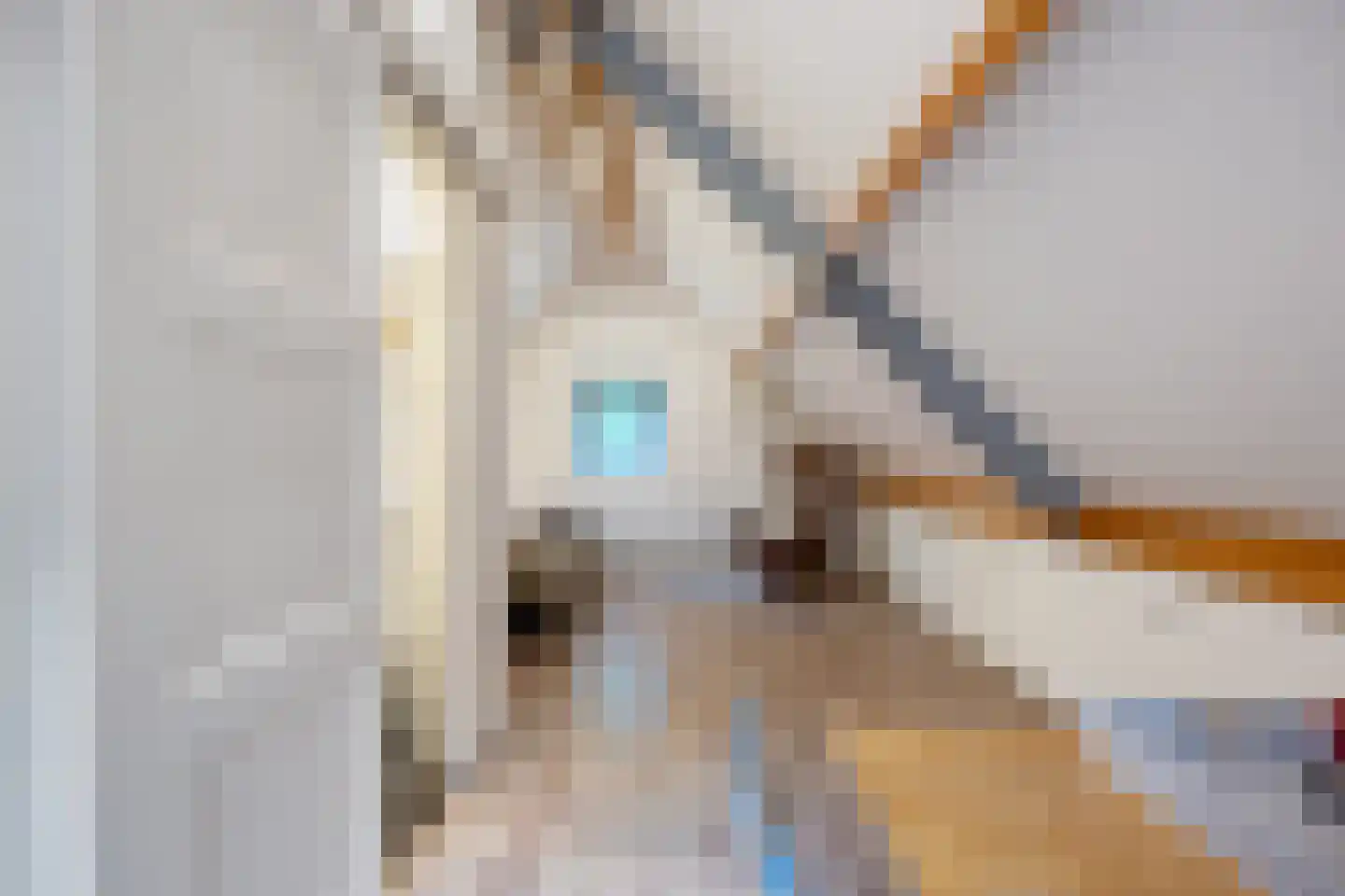 Lyclamaweg 33 Makkinga thumbnail 53