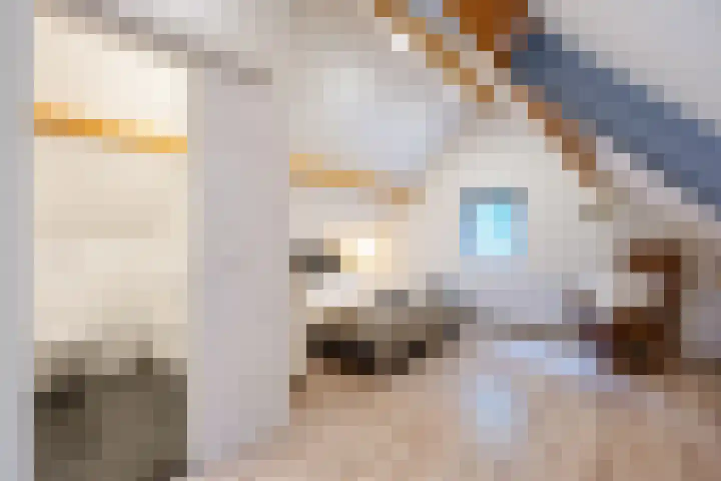 Lyclamaweg 33 Makkinga thumbnail 54