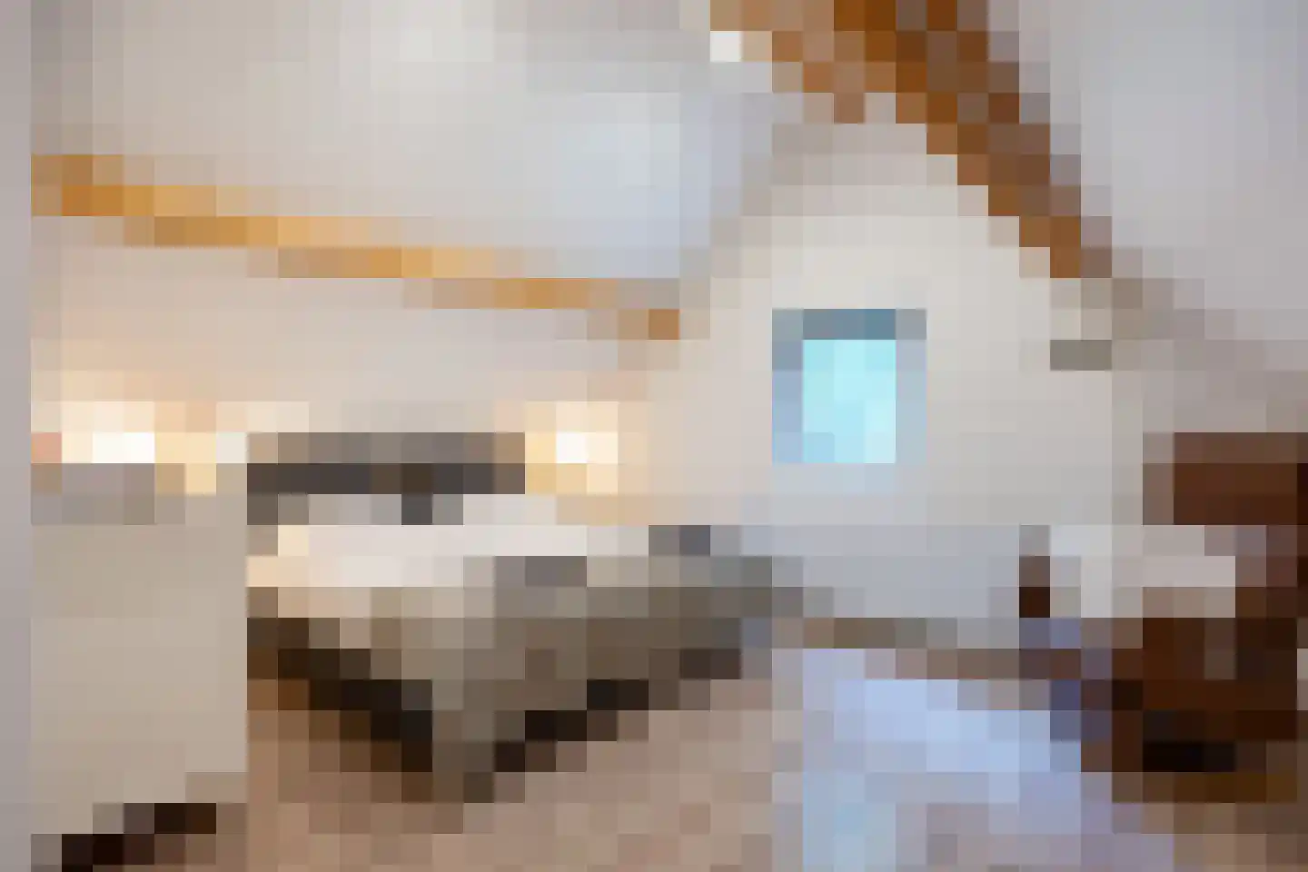 Lyclamaweg 33 Makkinga thumbnail 55