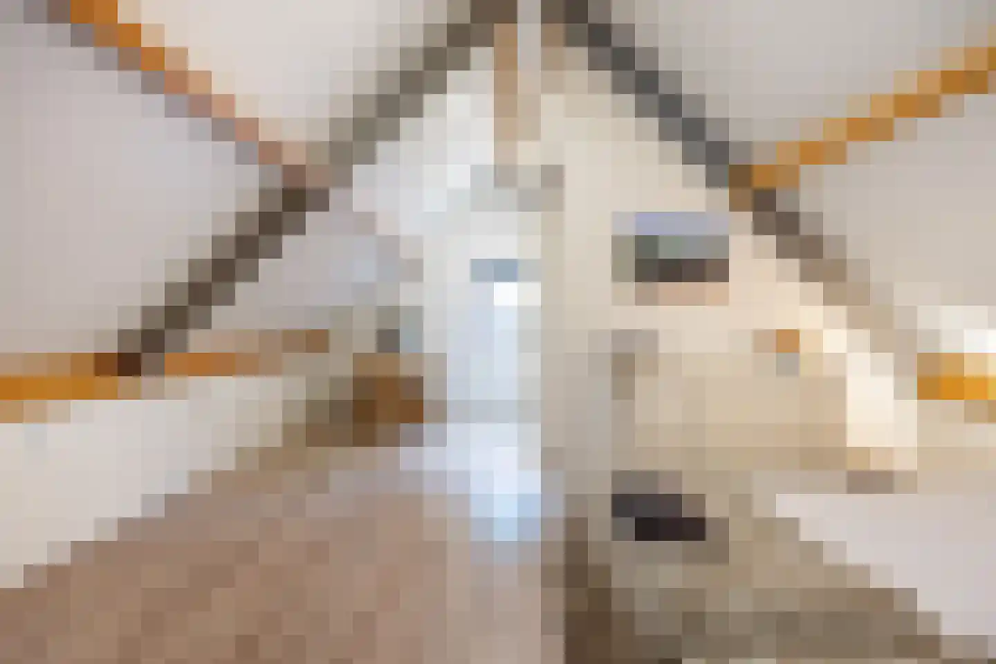 Lyclamaweg 33 Makkinga thumbnail 57