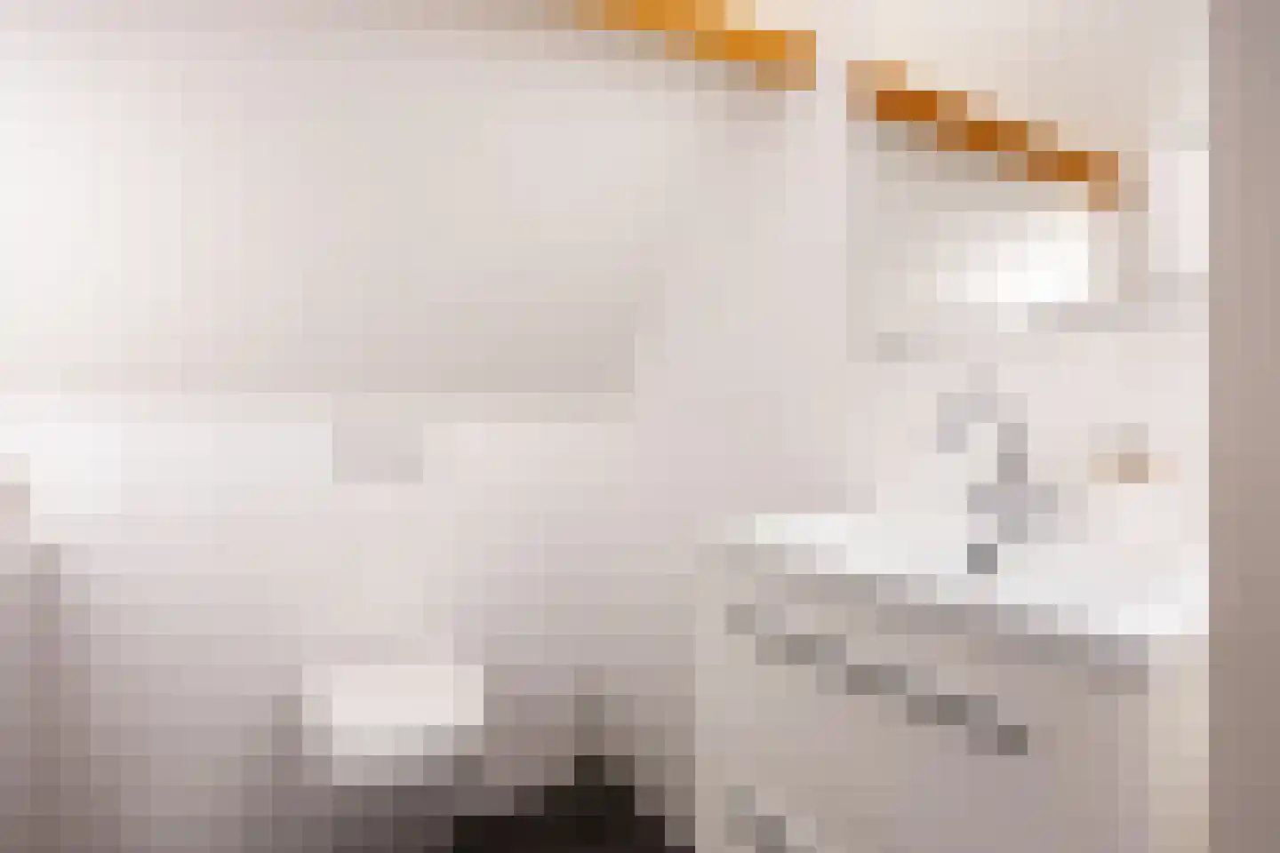 Lyclamaweg 33 Makkinga thumbnail 58