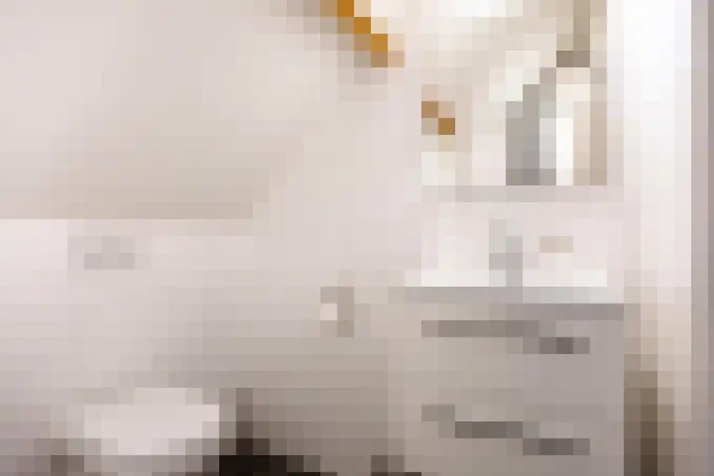 Lyclamaweg 33 Makkinga thumbnail 59
