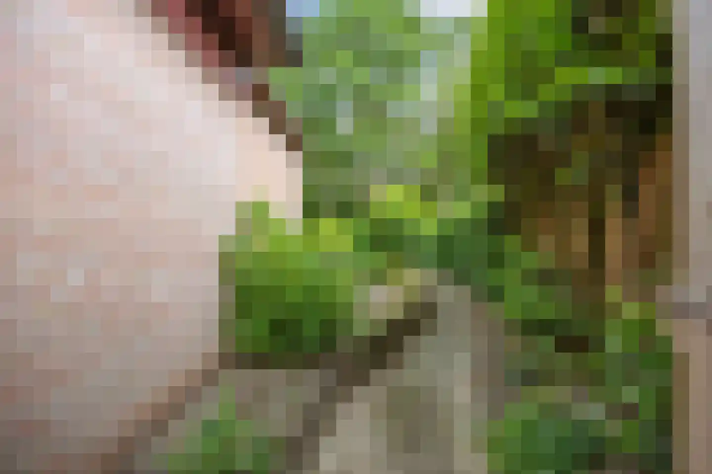 Lyclamaweg 33 Makkinga thumbnail 62