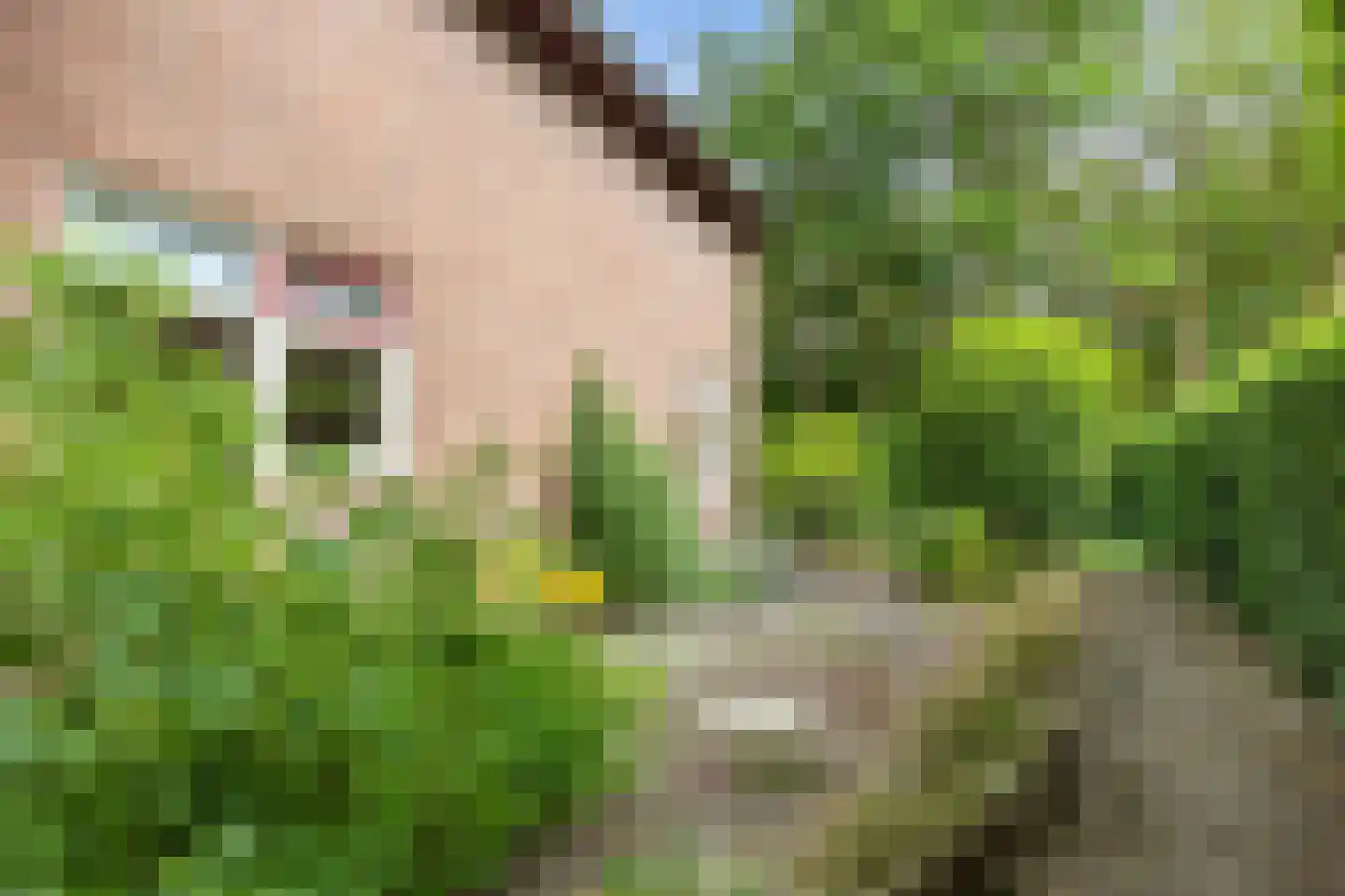 Lyclamaweg 33 Makkinga thumbnail 63