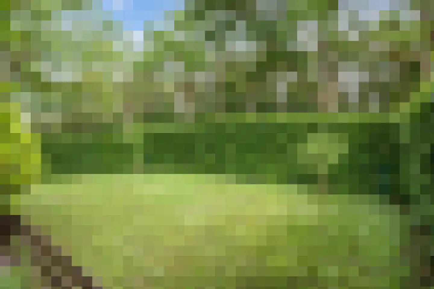 Lyclamaweg 33 Makkinga thumbnail 64