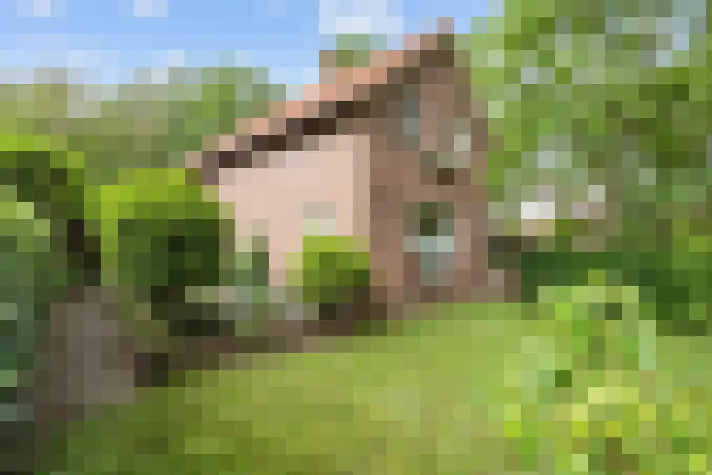 Lyclamaweg 33 Makkinga thumbnail 65