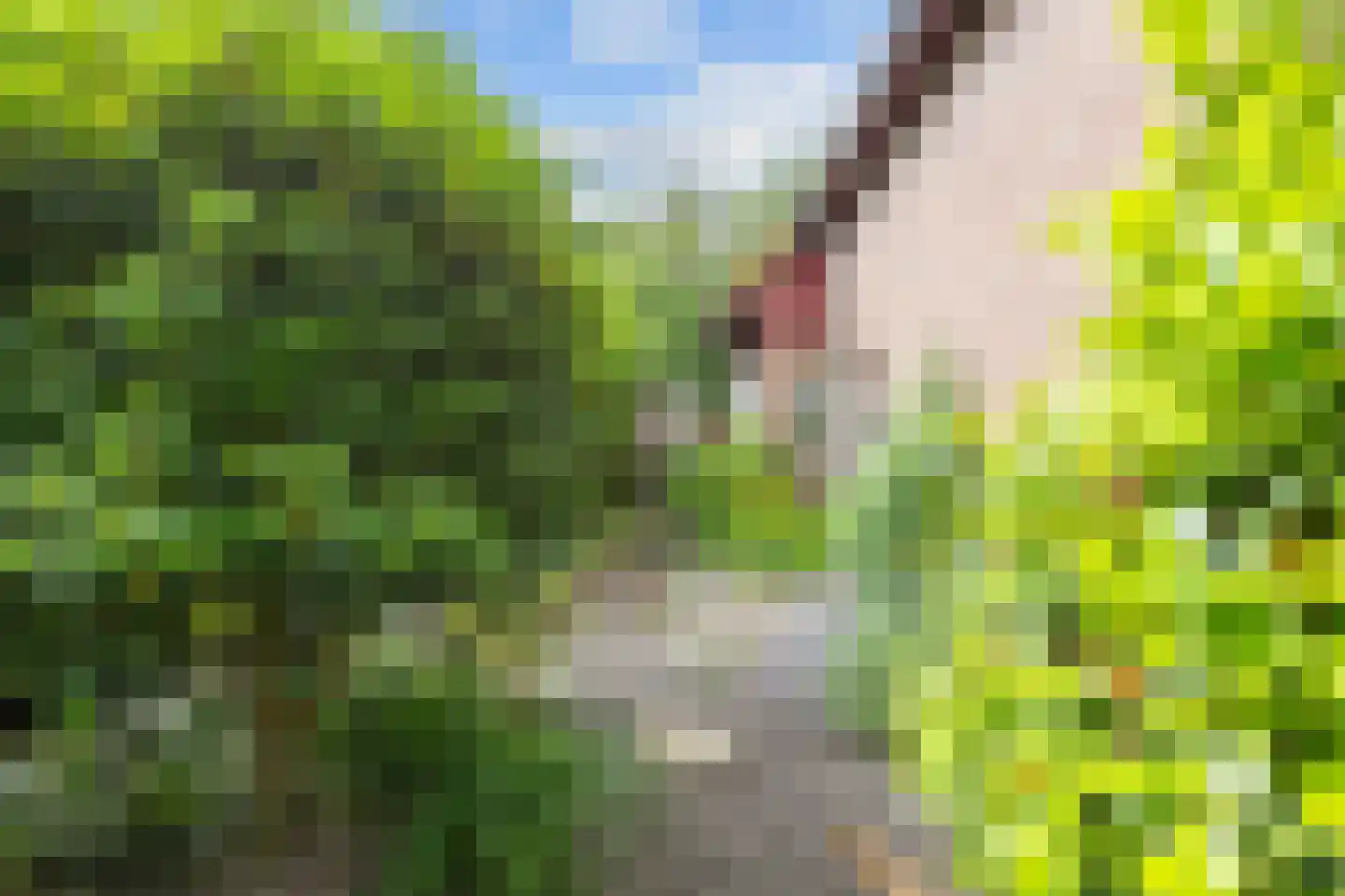 Lyclamaweg 33 Makkinga thumbnail 66