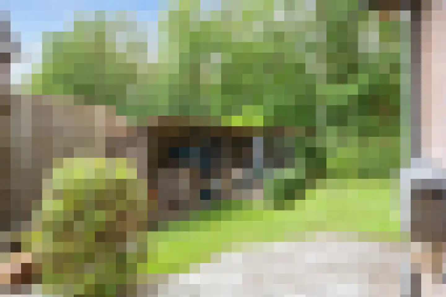 Lyclamaweg 33 Makkinga thumbnail 69