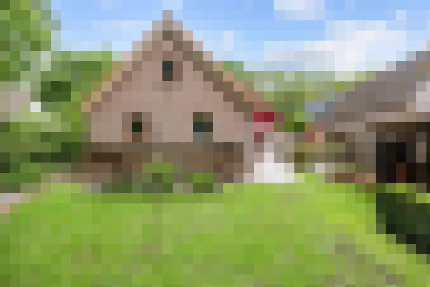 Lyclamaweg 33 Makkinga thumbnail 73