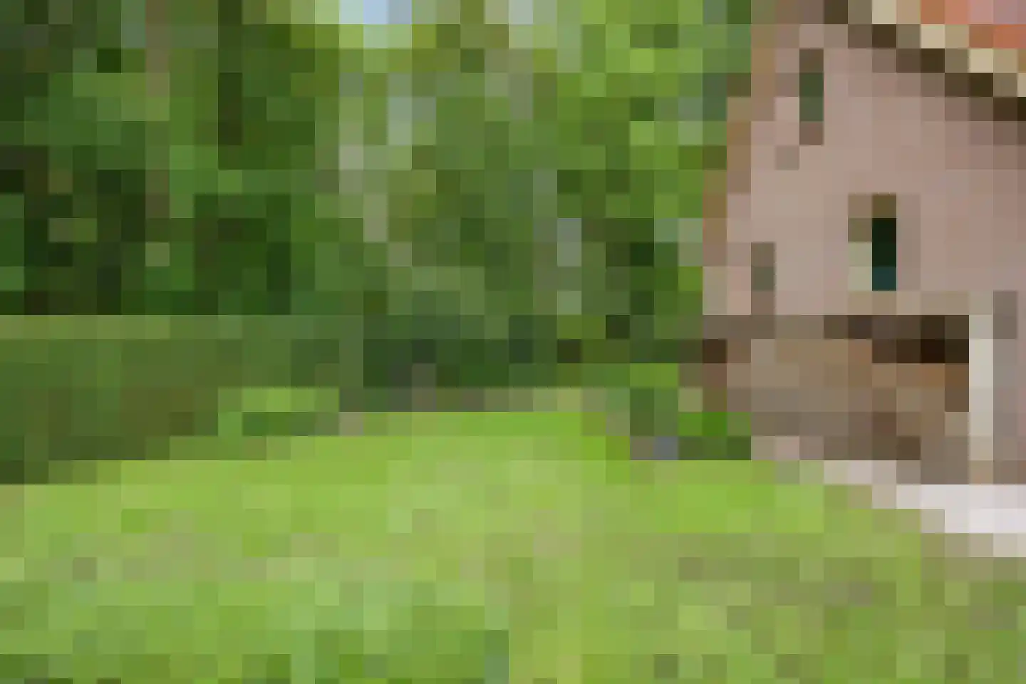 Lyclamaweg 33 Makkinga thumbnail 75