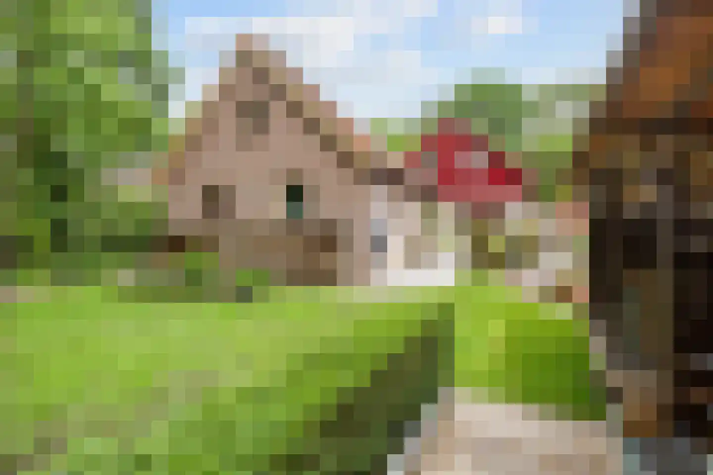 Lyclamaweg 33 Makkinga thumbnail 76