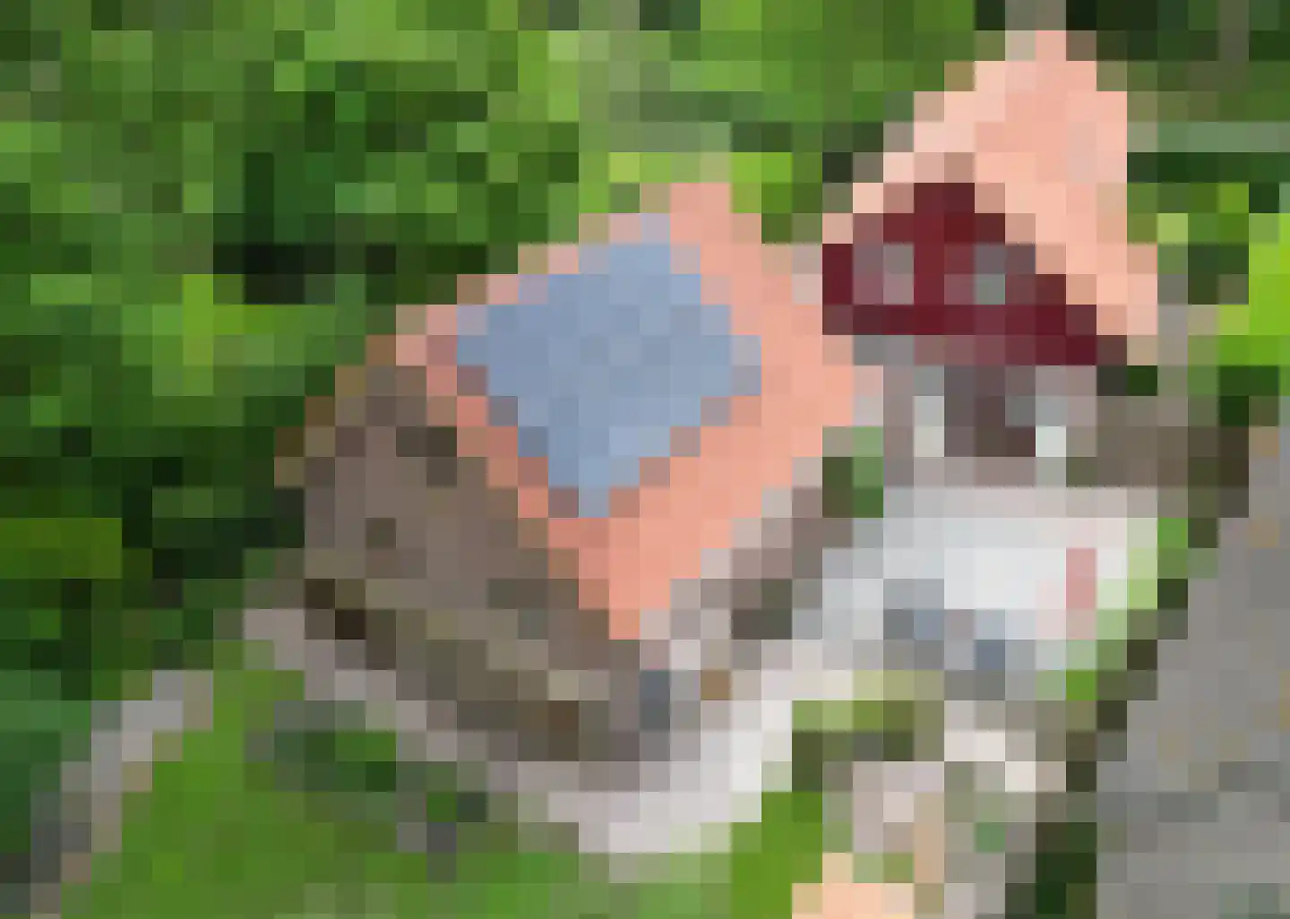Lyclamaweg 33 Makkinga thumbnail 77