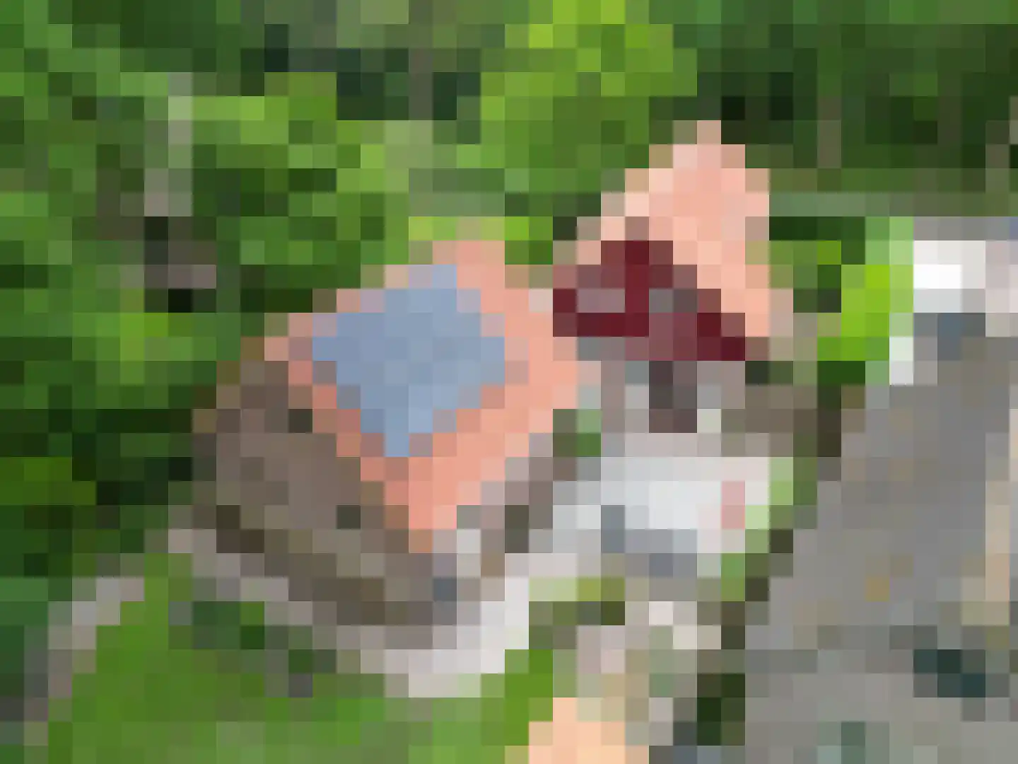 Lyclamaweg 33 Makkinga thumbnail 80