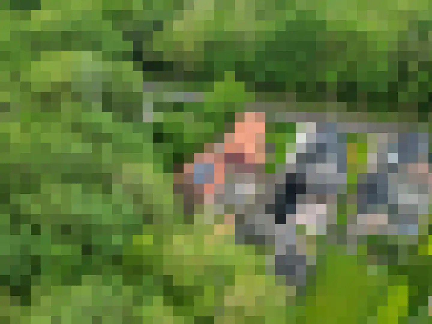 Lyclamaweg 33 Makkinga thumbnail 81